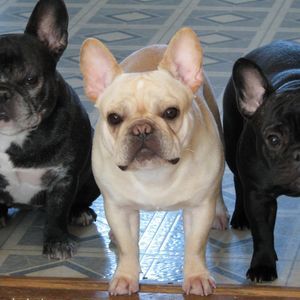 Meet your Posher, Vicki